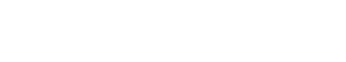 Icon or Logo of the Project